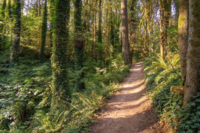 The 4T Trail: Portland’s Most Unique Urban Hike