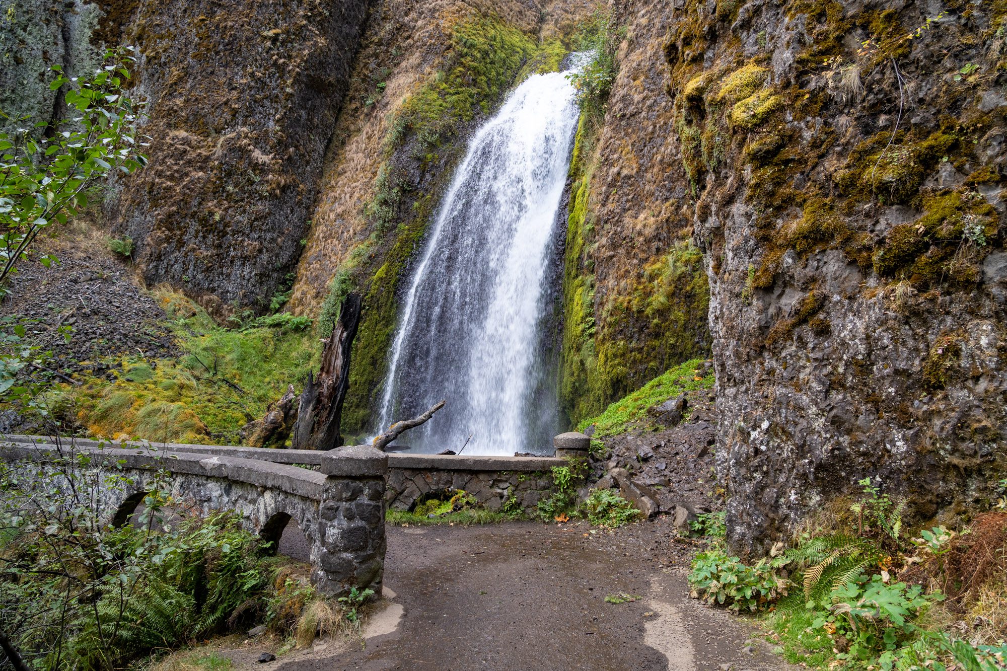 The Multnomah – Wahkeena Falls Loop Trail: A Complete Guide